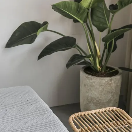 Canova Boutique Βίλα